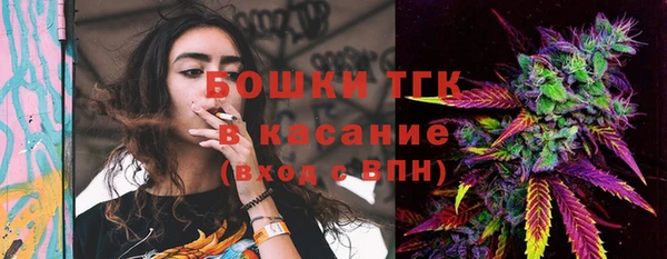 дурь Заводоуковск