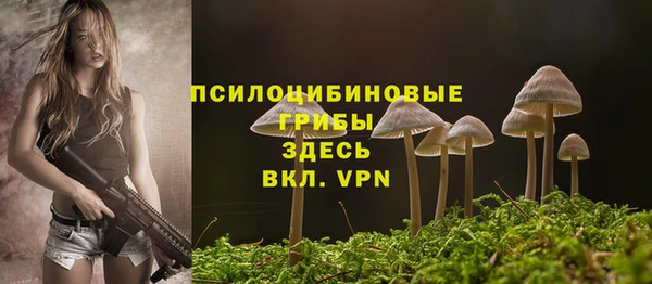 тгк Ельня